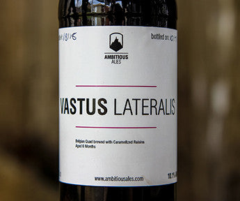 Vastus Lateralis